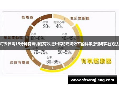 每天仅需15分钟有氧训练有效提升脂肪燃烧效率的科学原理与实践方法